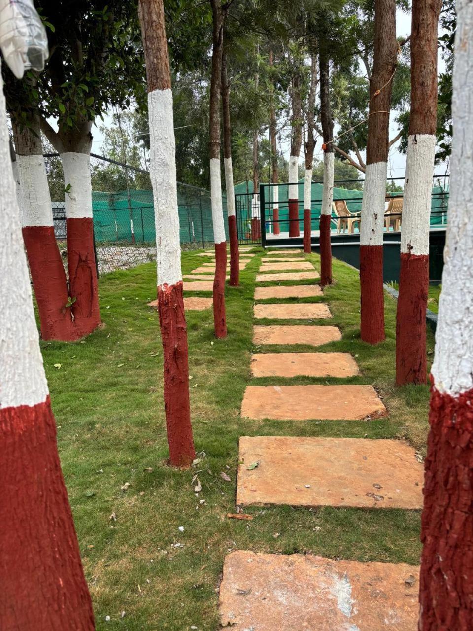 העיר בנגלור Bilwa Retreat Eco Stay & Sports מראה חיצוני תמונה