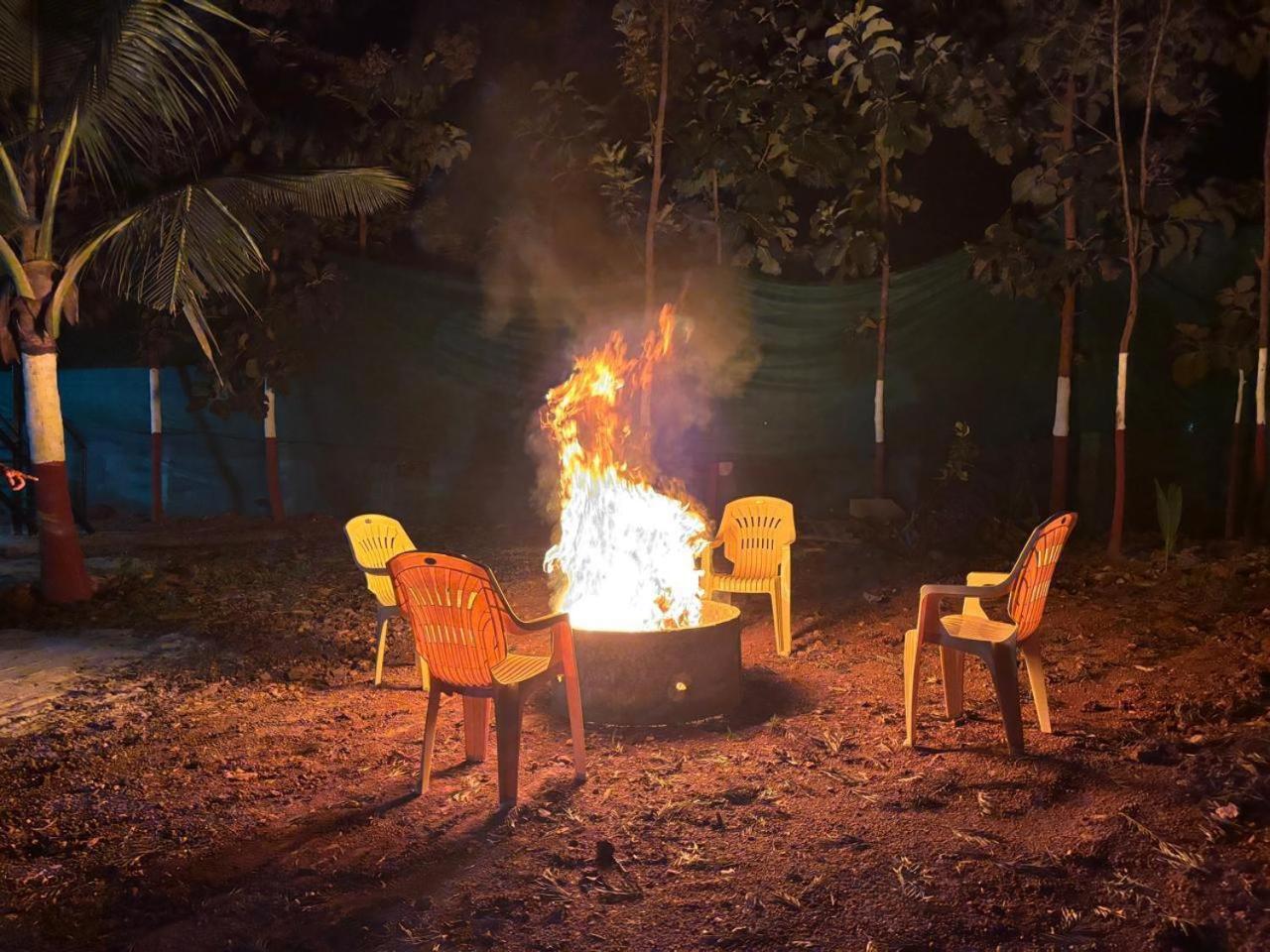 העיר בנגלור Bilwa Retreat Eco Stay & Sports מראה חיצוני תמונה