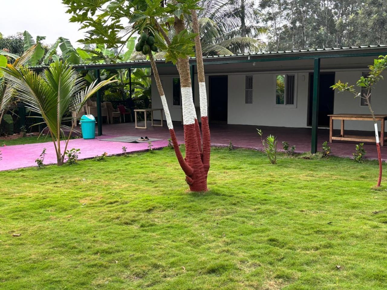 העיר בנגלור Bilwa Retreat Eco Stay & Sports מראה חיצוני תמונה